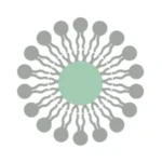 Рондовитал
